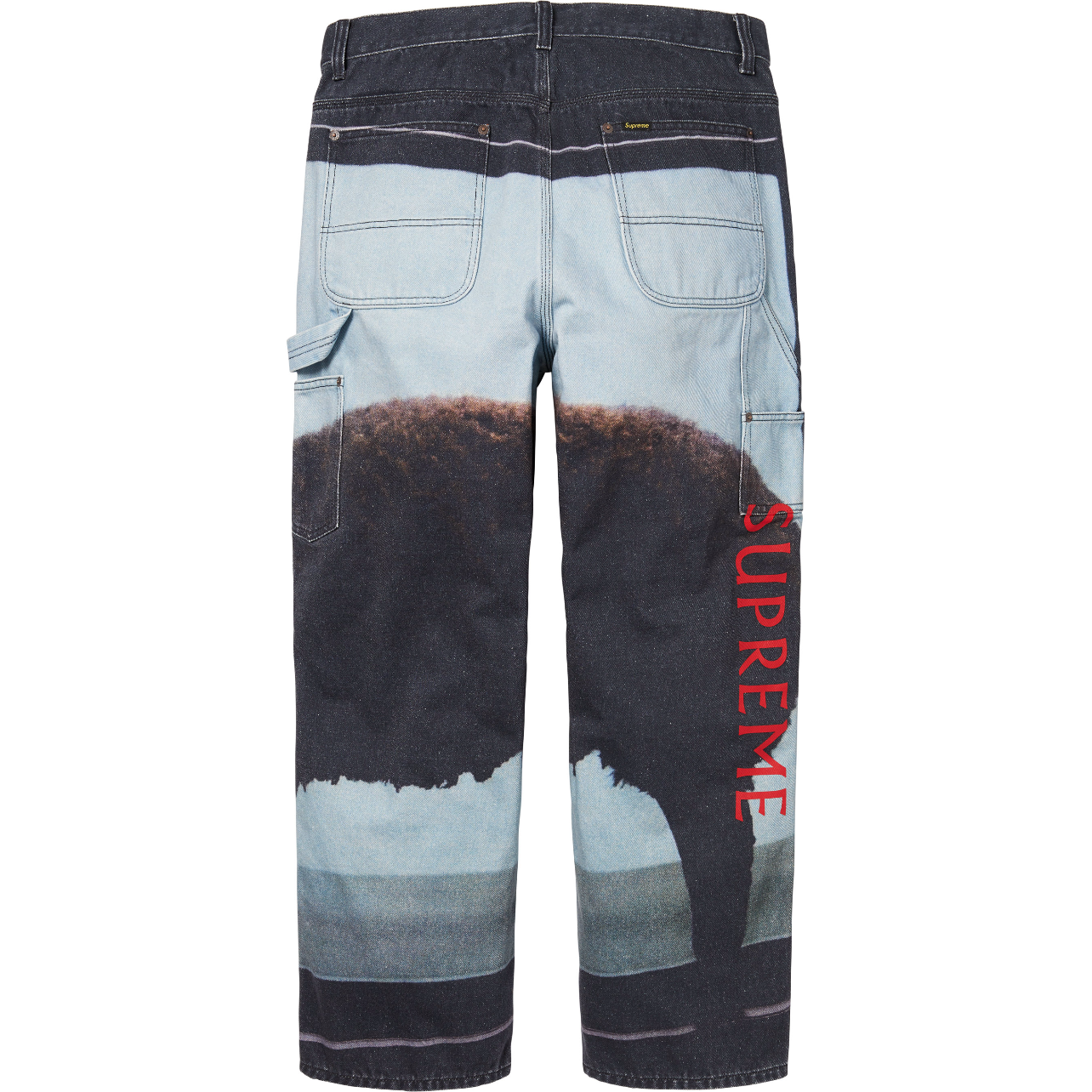 Calça Supreme / Damien Hirst Painter Jean