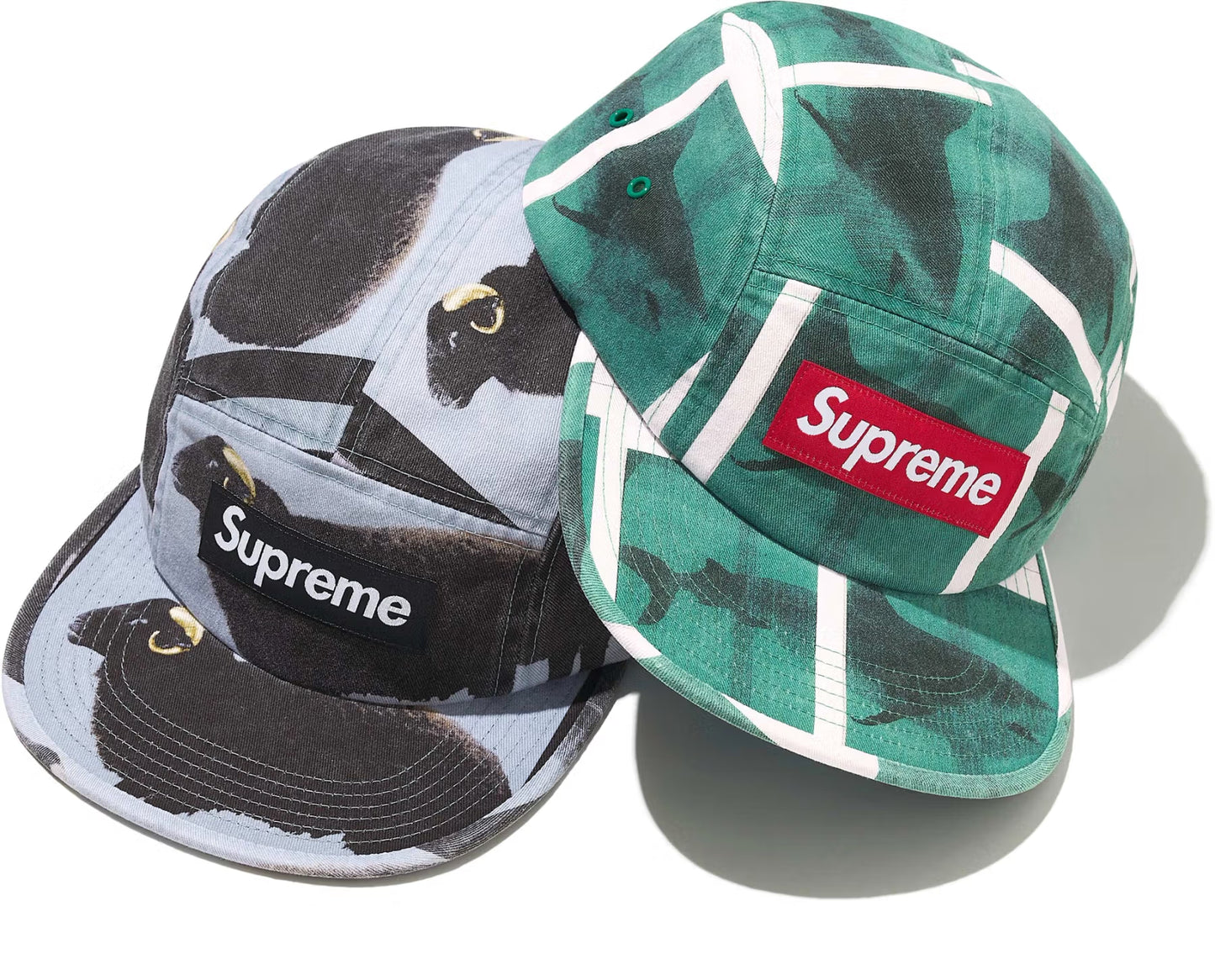 Boné Supreme x Damien Hirst Camp Cap